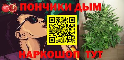 альфа пвп Заводоуковск