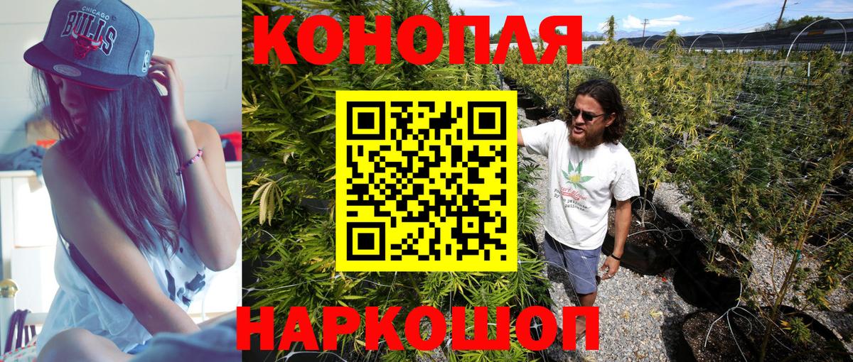 Каменск-Шахтинский  Бошки Шишки семена  Марихуана гибрид  Шишки марихуана план  Вход с VPN 